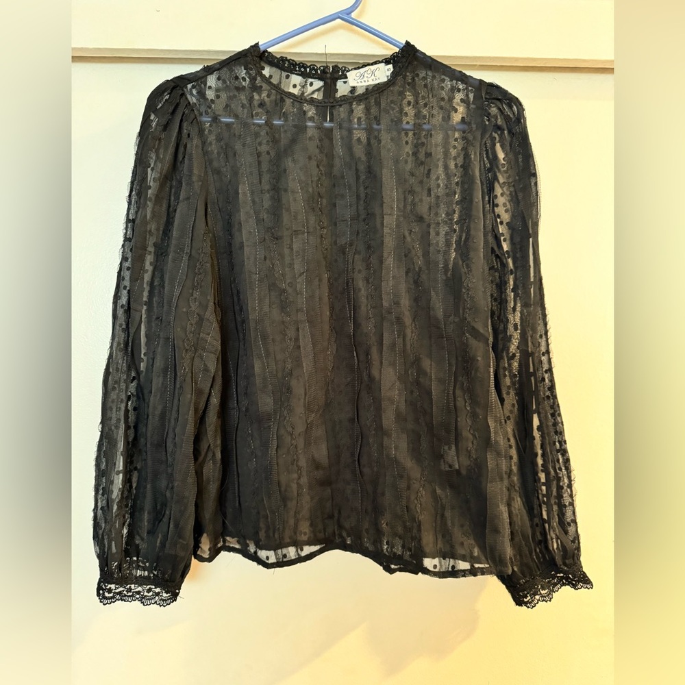 Beautiful Anna Kay Sheer blouse. Size small